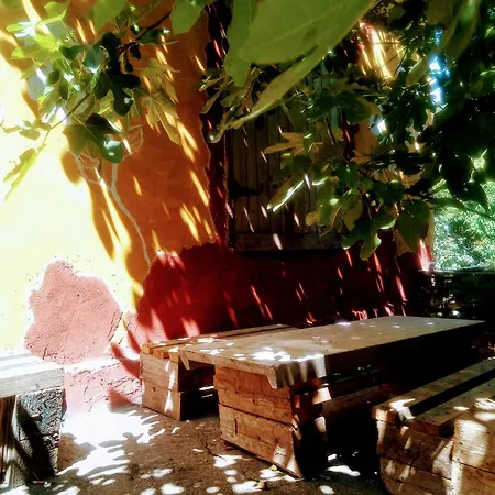 Проживание в семье Home Stay *