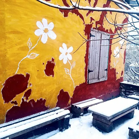 Home Stay Habitación en casa particular